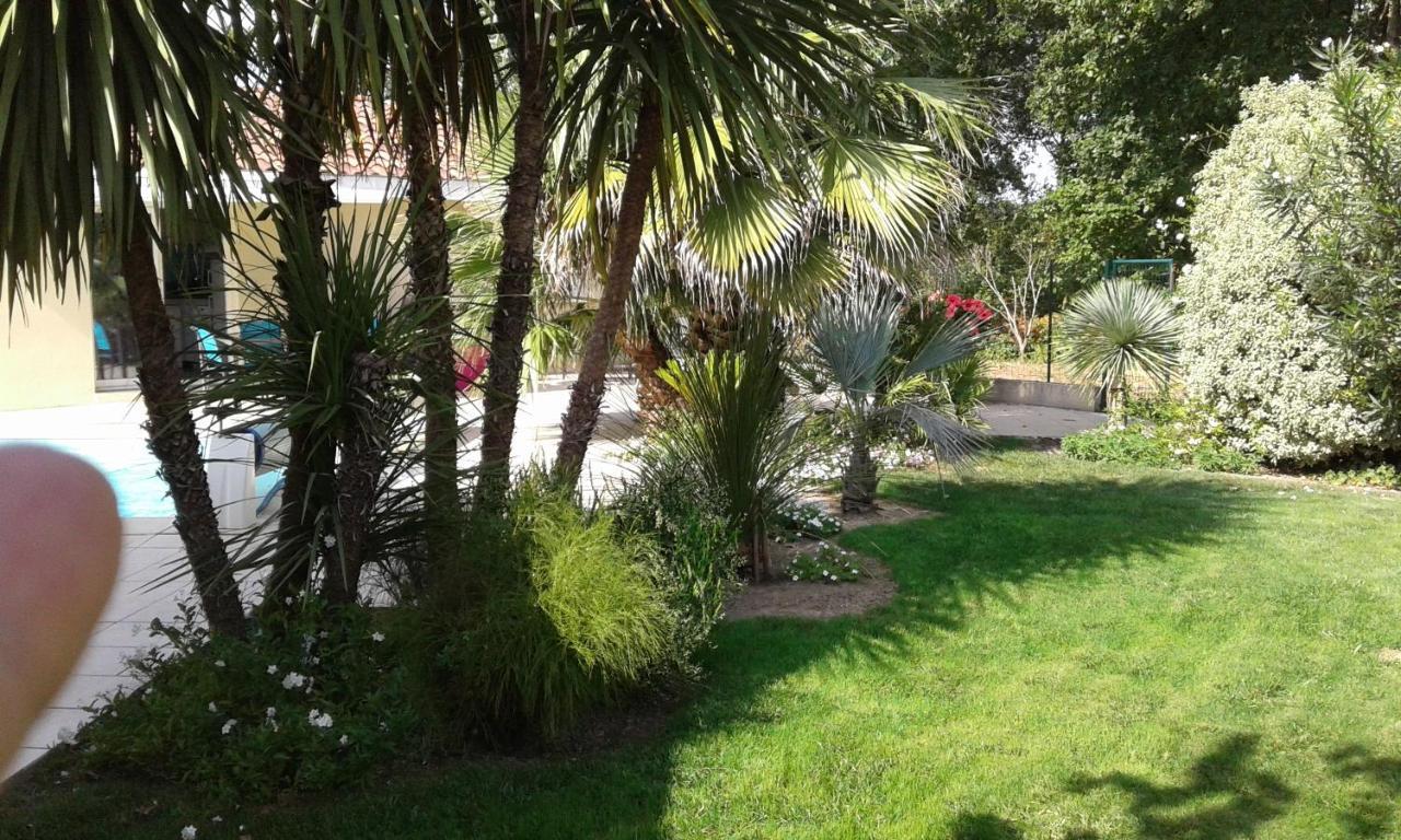 Gite T2 Tarnos Avec Piscine Buitenkant foto